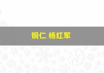 铜仁 杨红军